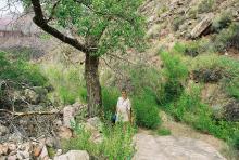Elisabeth by the lonely cottonwood tree