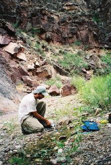 Filtering water from Grapevine Creek